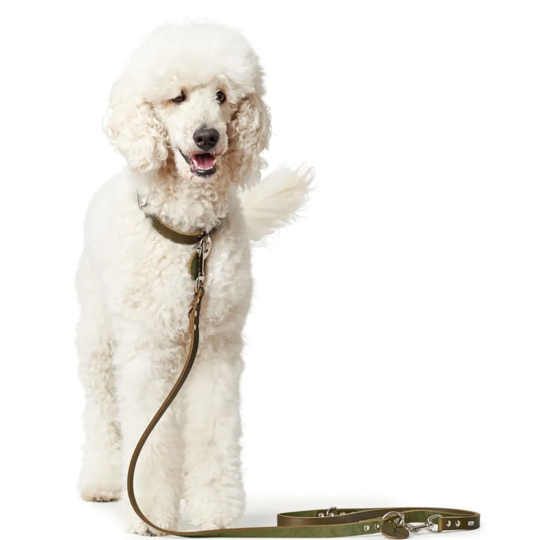 Hunter Aalborg Sport Oliven 42 hundehalsbånd - 32-38 cm