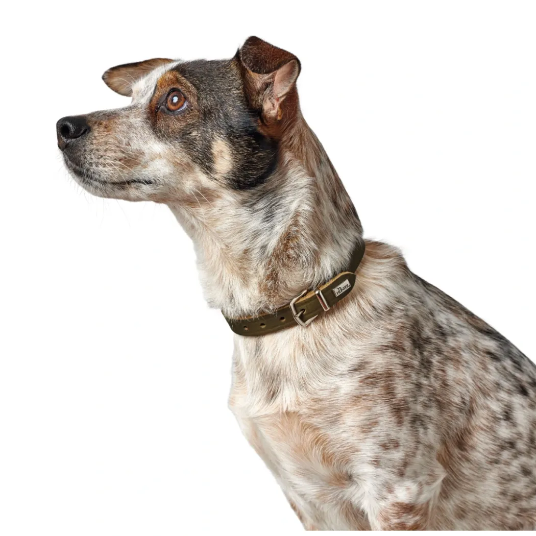 Hunter Aalborg Sport Oliven 42 hundehalsbånd - 32-38 cm
