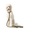 Hunter Aalborg Sport Oliven 47 hundehalsbånd - 37-43 cm