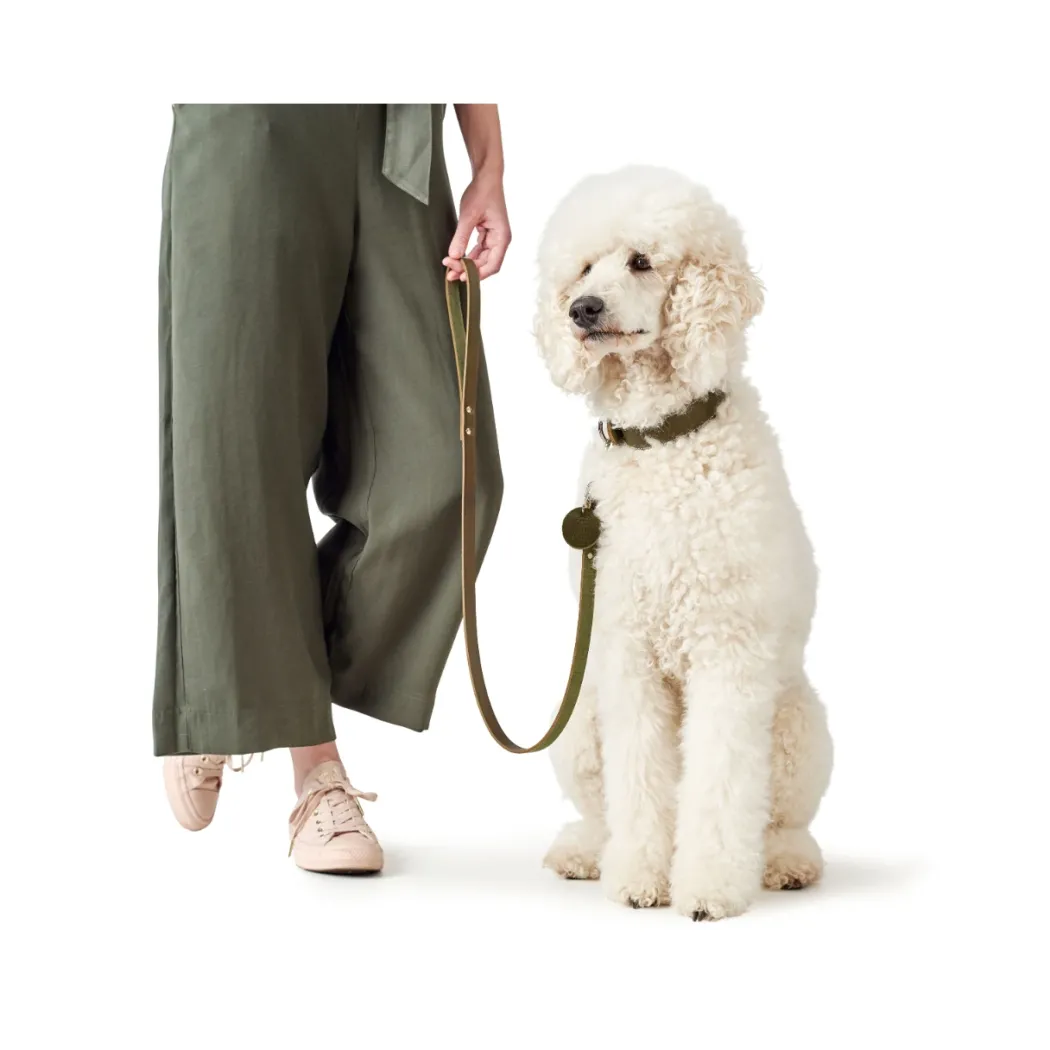 Hunter Aalborg Sport Oliven 47 hundehalsbånd - 37-43 cm