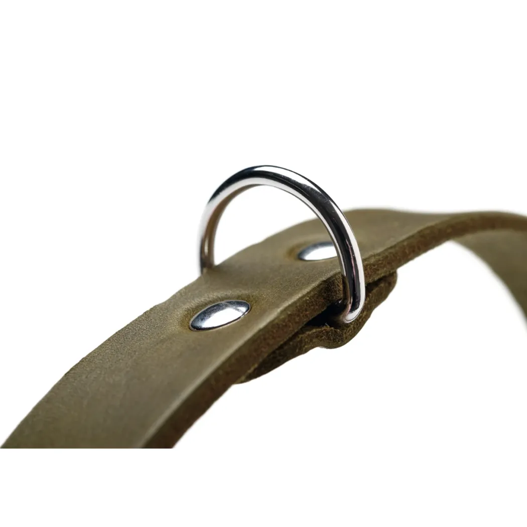 Hunter Aalborg Sport Oliven 47 hundehalsbånd - 37-43 cm