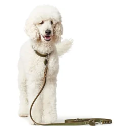Hunter Aalborg Sport Oliven 52 hundehalsbånd - 38-47 cm