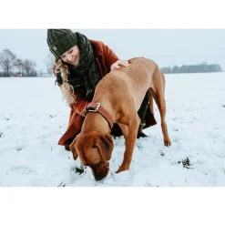Hunter Canadian UP Hundehalsbånd M 55 Sort/Cognac - 42-48 cm