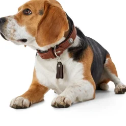 Hunter Cody 55 Cognac Mørkebrun hundehalsbånd - 42-48 cm