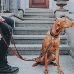 Hunter Cody 60 Mørkebrun Cognac hundehalsbånd - 46-52 cm