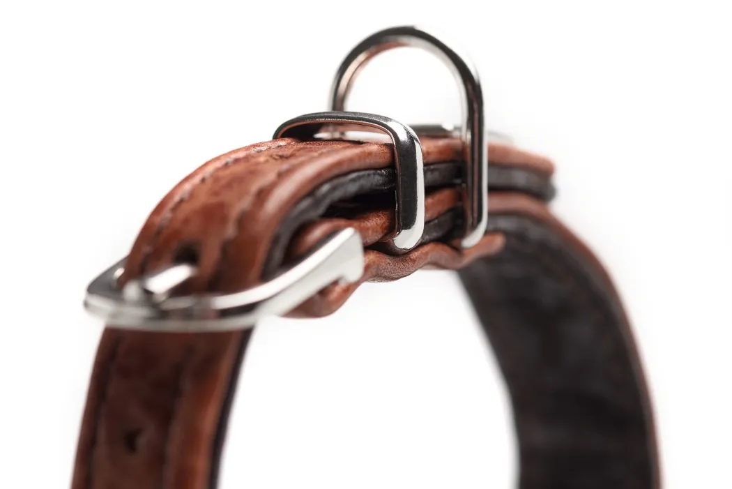 Hunter Cody Petit 27 Cognac Mørkebrun hundehalsbånd