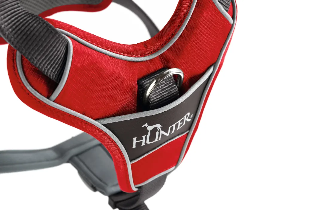 Hunter Divo hundesele L rød/grå just mave 72-100 cm - Kraftig støtte og komfort