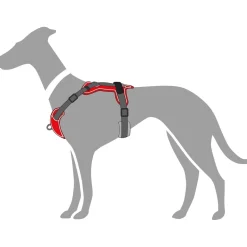 Hunter Divo hundesele L rød/grå just mave 72-100 cm - Kraftig støtte og komfort