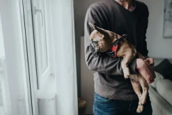 Hunter Divo hundesele L rød/grå just mave 72-100 cm - Kraftig støtte og komfort