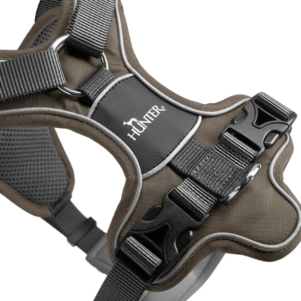 Hunter Divo hundesele L-XL brun/grå just mave 79-107 cm - Ekstra stabil støtte og komfort