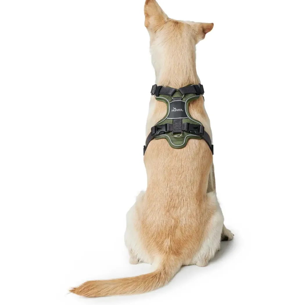 Hunter Divo hundesele L-XL grøn/grå just mave 79-107 cm - Stabil kontrol og komfort