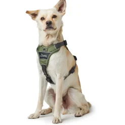 Hunter Divo hundesele L-XL grøn/grå just mave 79-107 cm - Stabil kontrol og komfort