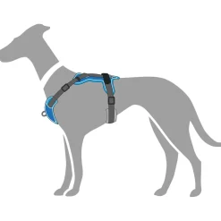 Hunter Divo hundesele L-XL lyseblå/grå just mave 79-107 cm - Sikker pasform og høj komfort