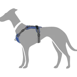 Hunter Divo hundesele L-XL petrol/grå just mave 79-107 cm - Ergonomisk komfort og refleks