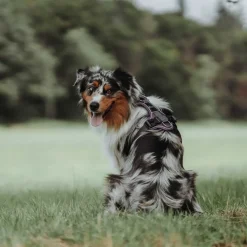 Hunter Divo hundesele L-XL violet/grå just mave 79-107 cm - Ergonomisk komfort og refleks