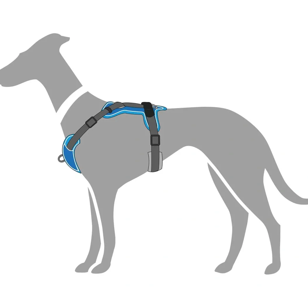 Hunter Divo hundesele M lyseblå/grå just mave 56-73 cm - Stabil pasform og aktiv komfort