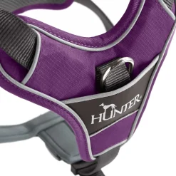 Hunter Divo hundesele M violet/grå just mave 56-73 cm - Balanceret pasform og komfort