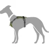 Hunter Divo hundesele S grøn/grå just mave 45-56 cm - Fleksibel kontrol og let komfort
