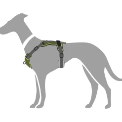 Hunter Divo hundesele S grøn/grå just mave 45-56 cm - Fleksibel kontrol og let komfort