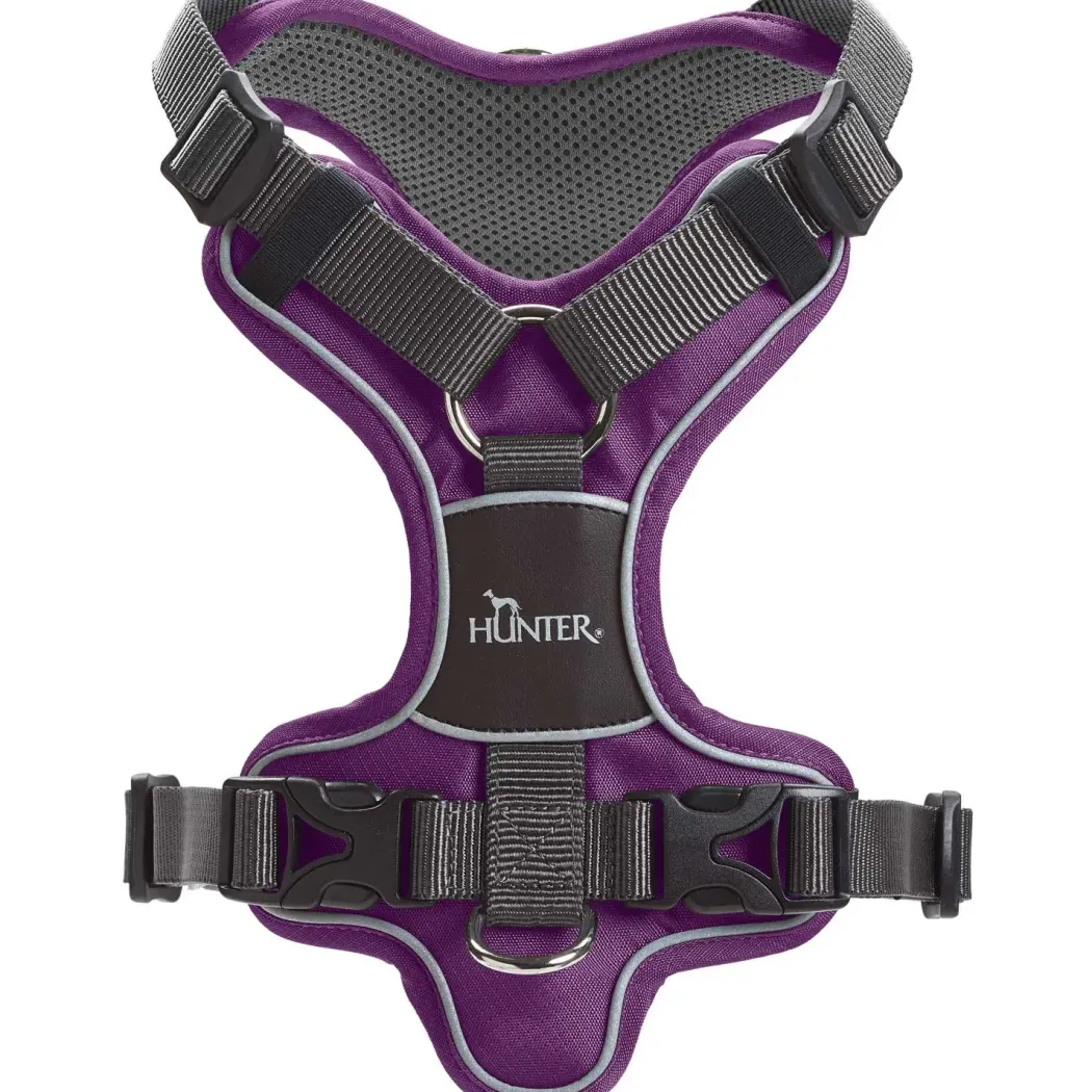 Hunter Divo hundesele S violet/grå just mave 45-56 cm - Tryg pasform og bevægelse