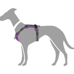 Hunter Divo hundesele S violet/grå just mave 45-56 cm - Tryg pasform og bevægelse