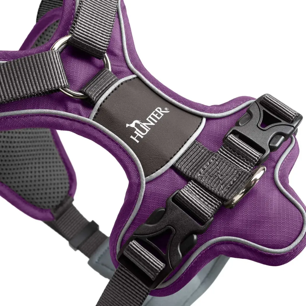 Hunter Divo hundesele XS violet/grå just mave 34-47 cm - Stabil kontrol og komfort