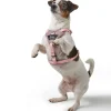 Hunter Divo Up hundesele L-XL lyserød just mave 79-107 cm - Stabil støtte og tryg kontrol