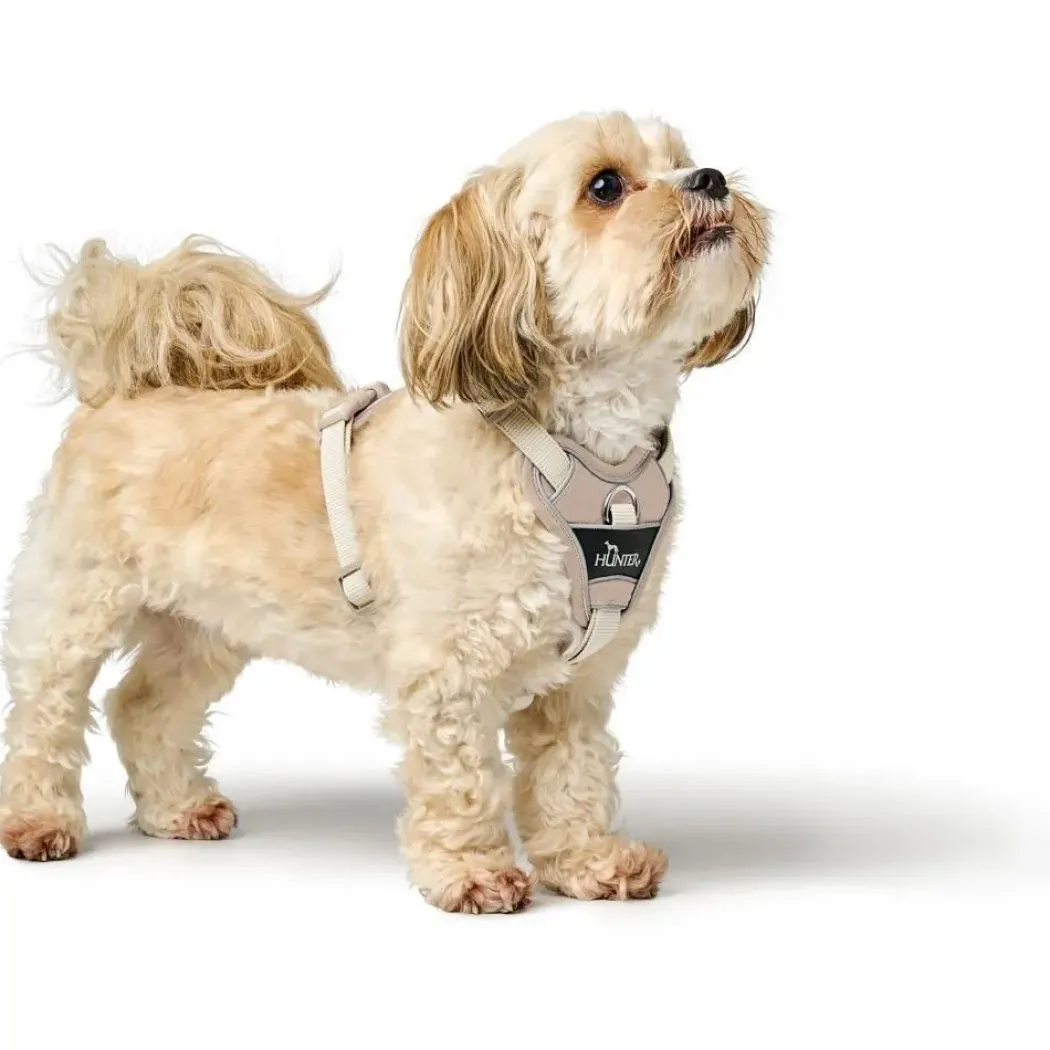 Hunter Divo Up hundesele M beige just mave 56-73 cm - Stabil bevægelse og ergonomisk komfort