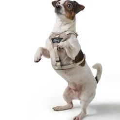 Hunter Divo Up hundesele M beige just mave 56-73 cm - Stabil bevægelse og ergonomisk komfort