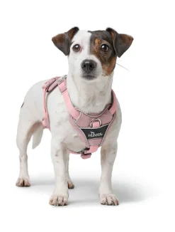 Hunter Divo Up hundesele M lyserød just mave 56-73 cm - Stabil bevægelse og afbalanceret komfort