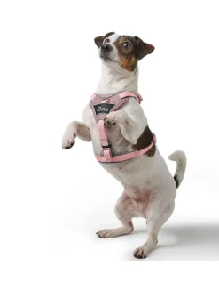 Hunter Divo Up hundesele M lyserød just mave 56-73 cm - Stabil bevægelse og afbalanceret komfort