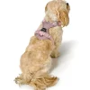 Hunter Divo Up hundesele S lyserød just mave 45-56 cm - Rolig påtagning og stabil komfort