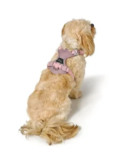 Hunter Divo Up hundesele S lyserød just mave 45-56 cm - Rolig påtagning og stabil komfort