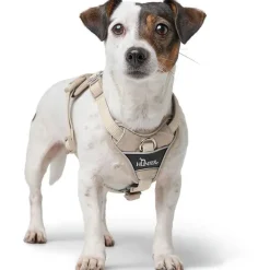 Hunter Divo Up hundesele S-M beige just mave 52-56 cm - Kontrolleret bevægelse og fleksibel pasform
