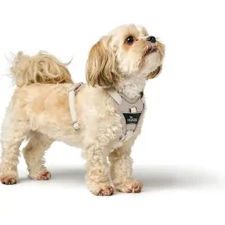 Hunter Divo Up hundesele S-M beige just mave 52-56 cm - Kontrolleret bevægelse og fleksibel pasform