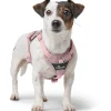 Hunter Divo Up hundesele XS lyserød just mave 34-47 cm - Blid påtagning og let ergonomisk komfort