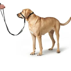 Hunter Follow Me snudesele til hund medium