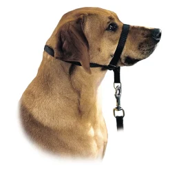 Hunter Follow Me snudesele til hund str XL