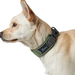 Hunter Halsbånd Divo L Grøn/Grå - justerbart hundehalsbånd (45-55 cm, B 4,5 cm)