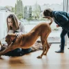 Hunter Halsbånd Divo L Petrol/Grå - justerbart hundehalsbånd (45-55 cm, B 4,5 cm)
