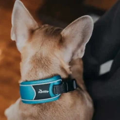 Hunter Halsbånd Divo M Lyseblå/Grå - justerbart hundehalsbånd (35-45 cm, B 4,5 cm)
