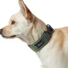 Hunter Halsbånd Divo S Grøn/Grå - justerbart hundehalsbånd (25-35 cm, B 4 cm)