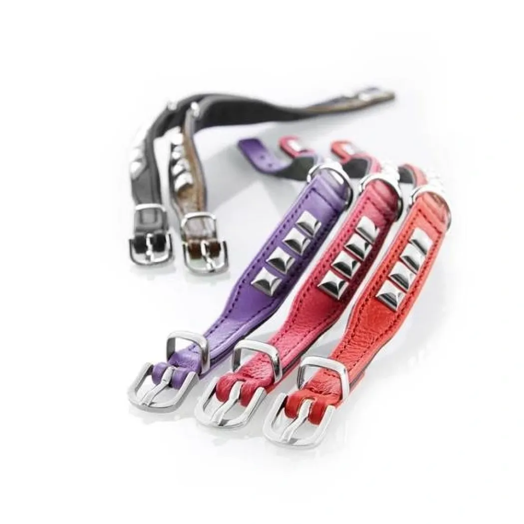 Hunter halsbånd Rocky Petit 30 Sort - 23-27 cm
