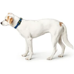 Hunter hunde halsbånd Hilo Blå L-XL - justerbart hundehalsbånd (40-60 cm, B 3,2 cm)