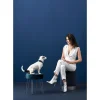 Hunter hunde halsbånd Hilo Blå M-L - justerbart hundehalsbånd (33-50 cm, B 2,5 cm)