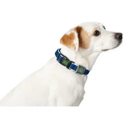 Hunter hunde halsbånd Hilo Blå M-L - justerbart hundehalsbånd (33-50 cm, B 2,5 cm)