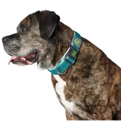 Hunter hunde halsbånd Hilo Turkis L-XL - justerbart hundehalsbånd (40-60 cm, B 3,2 cm)