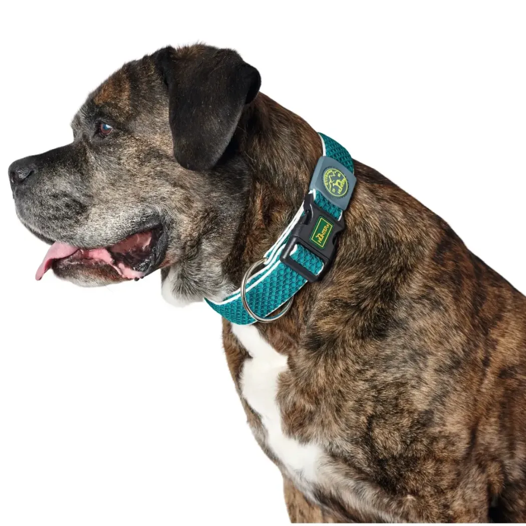 Hunter hunde halsbånd Hilo Turkis L-XL - justerbart hundehalsbånd (40-60 cm, B 3,2 cm)