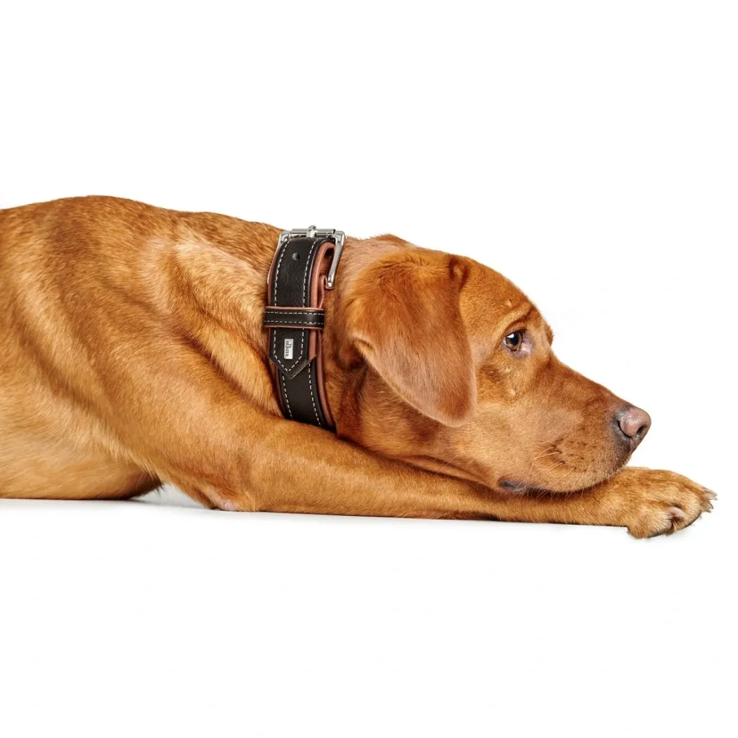 Hunter Hundehalsbånd læder Canada Elg Str.60 Sort/Cognac - 46-52 cm