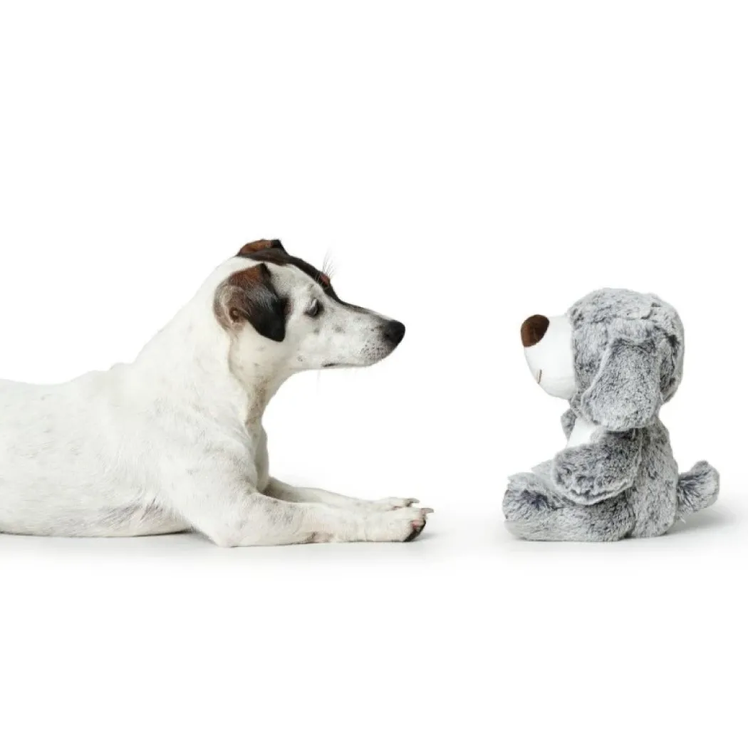 Hunter Hundelegetøj Hund - bamse til hunde